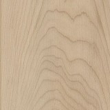 COREtec Pro Plus Enhanced Planks 5mm
Shoreline Maple (5 MM)